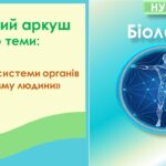 Робочий аркуш до теми “Органи. Системи органів організму людини”. Біологія 8 клас НУШ