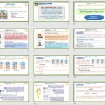 Фото розробки: Презентація “Краса і багатство української мови” (6 клас НУШ за підручником А.В.Онатій, Т.П.Ткачука)