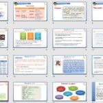 Фото розробки: Презентація “Члени речення.Підмет і присудок як головні члени двоскладного речення” (8 клас НУШ за підручником А.В.Онатій, Т.П.Ткачука)