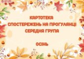 Картотека спостережень на прогулянці (Середня група)