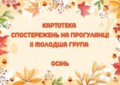 Картотека спостережень на прогулянці ІІ молодша група