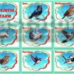 Фото розробки: !!! ПТАХИ – ПЕРНАТІ ДРУЗІ. ПЕРЕЛІТНІ ТА ЗИМУЮЧІ ПТАХИ (оформлення, наочність, аплікації, тіньове лото)