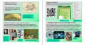 Презентація. Зображення України в картографічних творах. Національний атлас України. 8 клас НУШ. Програма Запотоцького С.П.