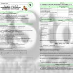 Фото розробки: !!! БІОЛОГІЯ 9 КЛ. КОНТРОЛЬНА РОБОТА “ЗБЕРЕЖЕННЯ ТА РЕАЛІЗАЦІЯ СПАДКОВОЇ ІНФОРМАЦІЇ” (ТРИ ВАРІАНТИ, ЧОТИРИ РІВНІ СКЛАДНОСТІ)