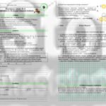 Фото розробки: !!! БІОЛОГІЯ 9 КЛ. ГЕНЕТИКА. КОНТРОЛЬНА РОБОТА “ЗАКОНОМІРНОСТІ УСПАДКУВАННЯ ОЗНАК” (ТРИ ВАРІАНТИ, ЧОТИРИ РІВНІ СКЛАДНОСТІ)