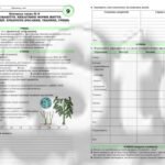 Фото розробки: !!! БІОЛОГІЯ 9 КЛ. КОНТРОЛЬНА РОБОТА “БІОРІЗНОМАНІТТЯ. НЕКЛІТИННІ ФОРМИ ЖИТТЯ. БАКТЕРІЇ. АРХЕЇ. ЕУКАРІОТИ” (ТРИ ВАРІАНТИ, ЧОТИРИ РІВНІ СКЛАДНОСТІ)