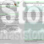 Фото розробки: !!! БІОЛОГІЯ 9 КЛ. ЕКОЛОГІЯ. КОНТРОЛЬНА РОБОТА “НАДОРГАНІЗМОВІ БІОЛОГІЧНІ СИСТЕМИ” (ТРИ ВАРІАНТИ, ЧОТИРИ РІВНІ СКЛАДНОСТІ)