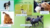 “Метафоричні криголами” – унікальна техніка для налаштування на урок