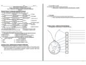 Діагностична контрольна робота 7 клас Розділ 2. Різноманітність евкаріотичних організмів Тема 3. Середовища мешкання та різноманітність водоростей