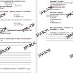 Комплексна підсумкова робота 7 клас Запотоцький з теми: «КАРТОГРАФІЧНЕ ЗОБРАЖЕННЯ ЗЕМЛІ» за ГР