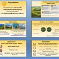 Презентаця “Які типи рельєфу характерні для України” Географія 8 клас НУШ