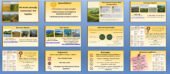 Презентаця “Які типи рельєфу характерні для України” Географія 8 клас НУШ