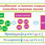 Фото розробки: Вимова приголосних звуків. Уподібнення приголосних звуків