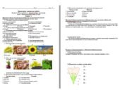 Діагностична контрольна робота 7 клас Розділ 2. Різноманітність евкаріотичних організмів Тема 5. Різноманітність вищих рослин