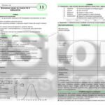 Фото розробки: !!! КОНТРОЛЬНА РОБОТА З БІОЛОГІЇ 11 кл. ТЕМА 3. ЕКОЛОГІЯ