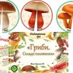 Фото розробки: Дидактична гра “Гриби. Склади половинки”
