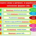 Фото розробки: Іменник. ВІдмінки іменників