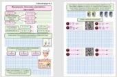 Робочі аркуші з математики для учнів 6 класу з теми “Пропорція. Основна властивість пропорції”