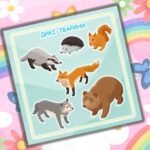 Фото розробки: Альбом на липучках” Все про все”.