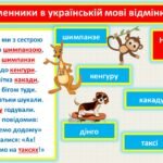 Фото розробки: Іменник. ВІдмінки іменників