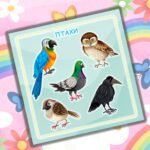 Фото розробки: Альбом на липучках” Все про все”.