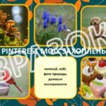 Фото розробки: Портфоліо вчителя біології “Гербарій моїх досягнень”. Презентація досвіду роботи вчителя біології