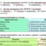 Фото розробки: Комплексна ПР. 7 клас. Українська мова. “Дієслово” за ЧОТИРМА ГР. Підходить до МНП Голуб, Заболотного ПЕРЕВІРЕНО!!!!! 2 варіанти
