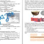 Фото розробки: Діагностична робота “Становлення козацтва (XVI — перша половина XVII ст.)”