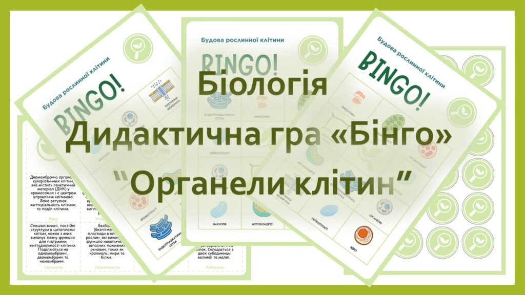 Головне зображення розробки: Дидактична біологічна гра «Бінго. Органели клітин»