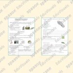 Фото розробки: Лабораторне дослідження “Спостереження за інфузоріями”. Біологія 7 клас НУШ