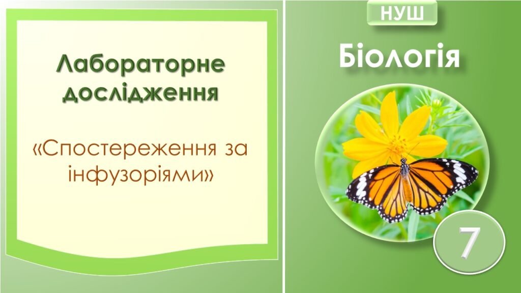 Головне зображення розробки: Лабораторне дослідження “Спостереження за інфузоріями”. Біологія 7 клас НУШ