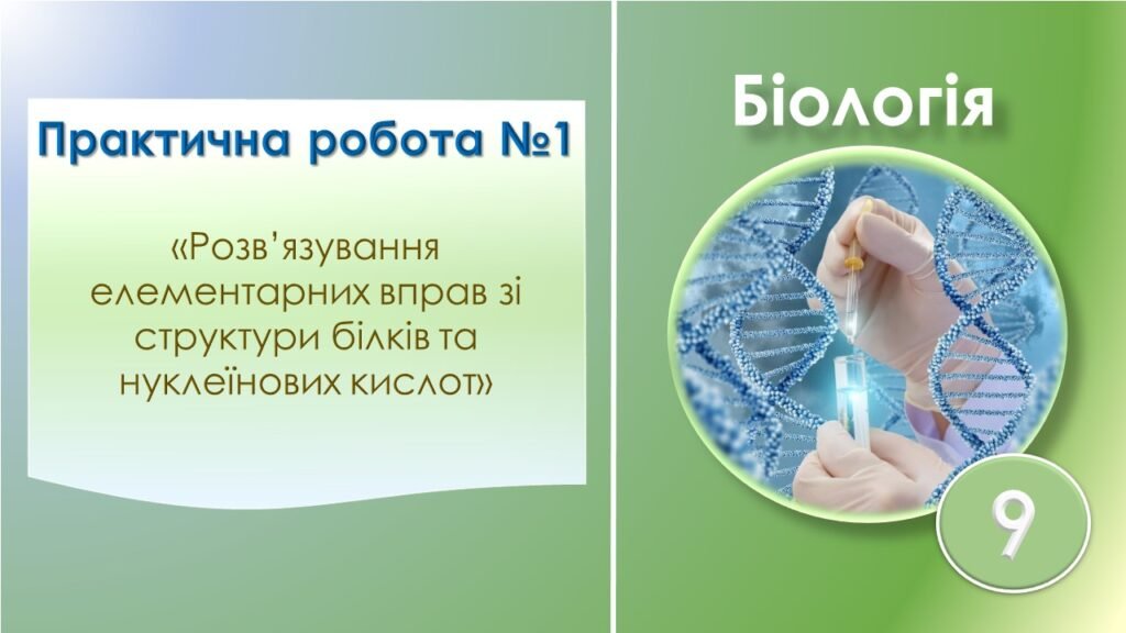 Головне зображення розробки: Практична робота №1 “Розв’язування елементарних вправ зі структури білків та нуклеїнових кислот”