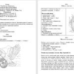 Фото розробки: Підсумкова робота “Народні та літературні казки” ( підручники Яценко, Калинич, Борзенко )