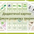 Дидактичні картки “Цикли розвитку тварин”.