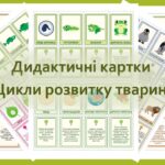Дидактичні картки “Цикли розвитку тварин”.