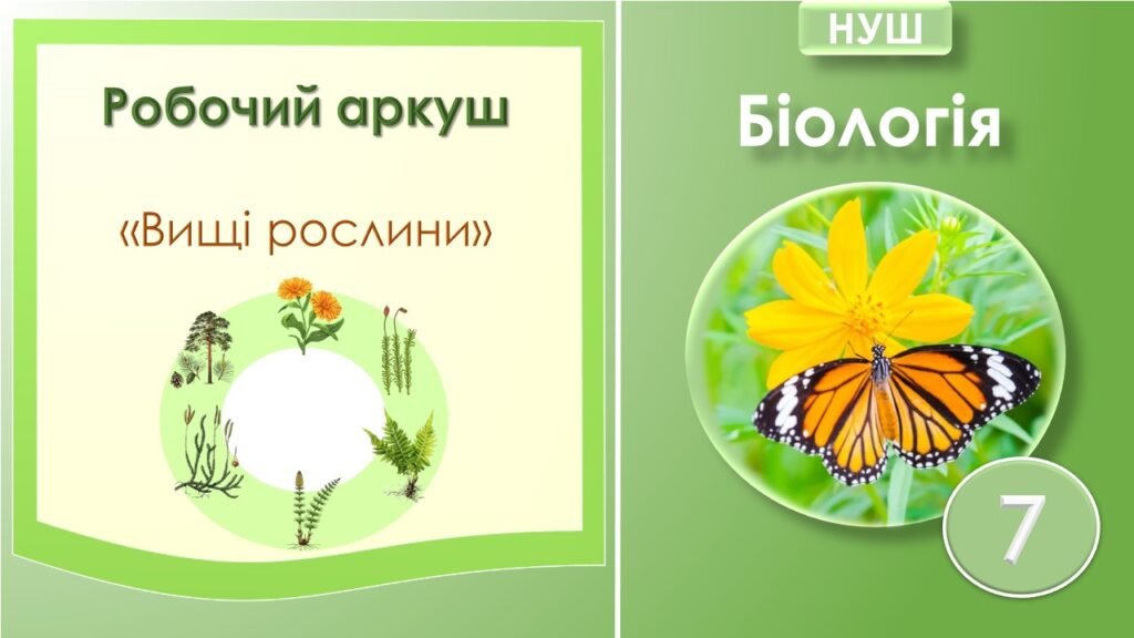 Головне зображення розробки: Робочий аркуш “Вищі рослини – багатоклітинні організми з тканинами і органами”. Біологія 7 клас НУШ