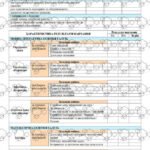 Фото розробки: !!! СВІДОЦТВО ДОСЯГНЕНЬ 8 кл НУШ 2025-2026
