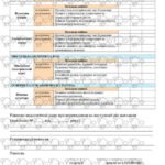 Фото розробки: !!! СВІДОЦТВО ДОСЯГНЕНЬ 8 кл НУШ 2025-2026