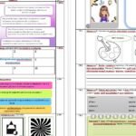 Фото розробки: Комплексна підсумкова діагностична робота з ОБРАЗОТВОРЧОГО МИСТЕЦТВА (І семестр 5 клас)