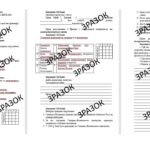 Комплексна підсумкова робота 7 клас Щупак «ВОЛИНСЬКО-ГАЛИЦЬКЕ КНЯЗІВСТВО («ДЕРЖАВА РОМАНОВИЧІВ»)» за ГР