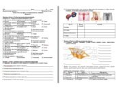 Діагностична робота Біологія 8 клас Тема2. Регуляторні системи організму людини