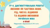 ГР 4. Діагностувальна робота №4. Іменник як частина мови. Рід, число, відмінки та відміни іменників. Українська мова. 6 клас НУШ (Авраменко О. М.)