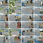 Фото розробки: Оскар Вайлд. «Хлопчик-Зірка». Цікаві факти з життя і творчості письменника. Символічний зміст назви твору