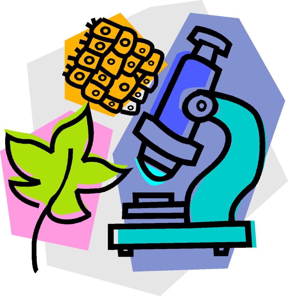 Головне зображення розробки: Комплексна підсумкова семестрова робота І семестр НУШ для 8 класу до модельної навчальної програми авт. П. Балан…