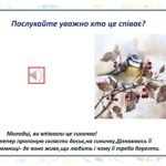 Фото розробки: «Секретне досьє №001 Агент. «Жовтогрудка»» (Синиця Велика)