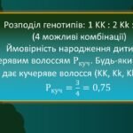 Фото розробки: Тиждень математики “У світі Гаррі Поттера” 2025 позакласний захід математика