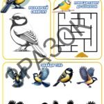 Фото розробки: День синички (12 листопада). Матеріал до Дня синички