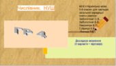 Досліджує мовлення . ГР 4. Числівник. 2 в.+ відповіді. Українська мова. 6 клас.НУШ