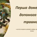 Презентація : Перша домедична допомога при травмах • ЕКСТРЕНА МЕДИЧНА ДОПОМОГА (ЕМД) • ДОМЕДИЧНА ДОПОМОГА • ТРАВМА