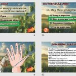 Фото розробки: Презентація Історична пісня “Чи не той то Хміль” 8 кл НУШ